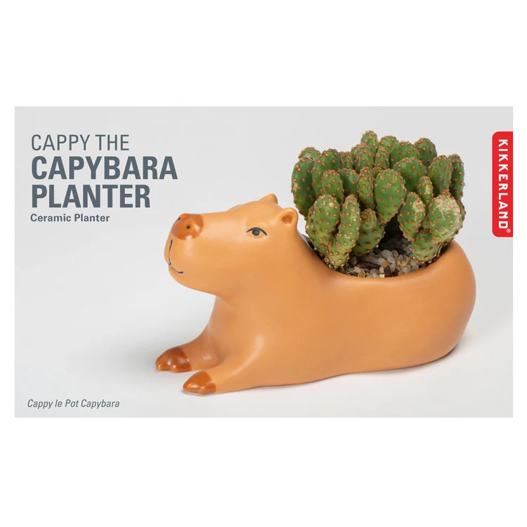 Cappy the Capybara Planter Large - Image 3