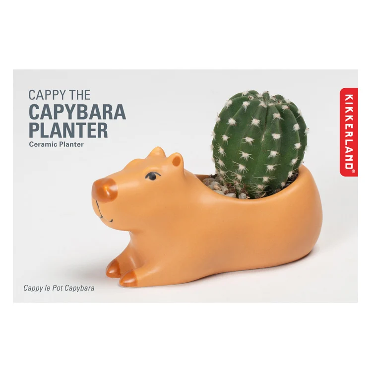 Cappy the Capybara Planter Small - Image 3