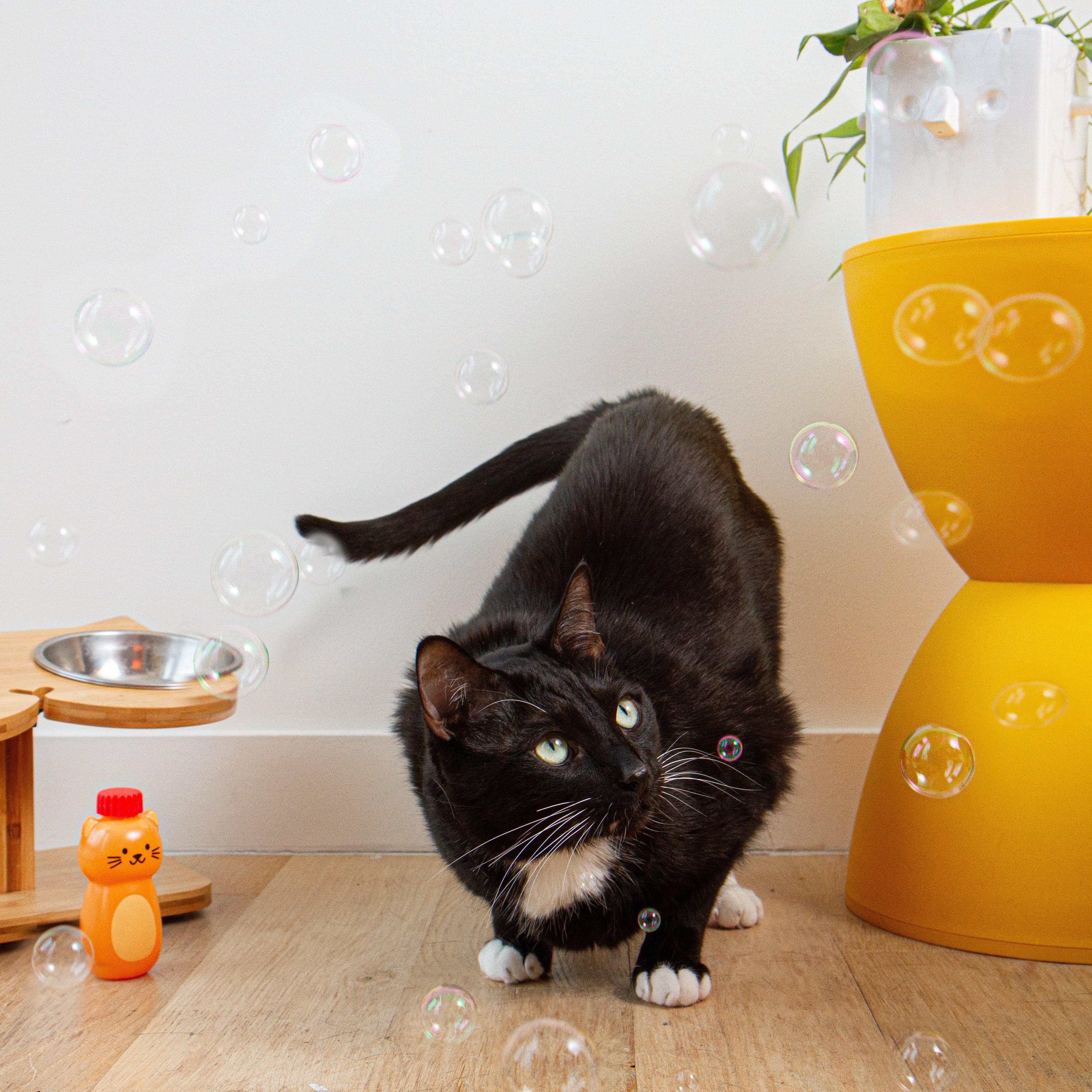 Kiko Catnip Bubbles - Image 3