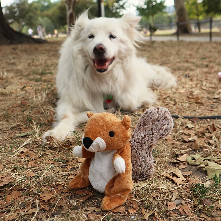 Kobe 2 in 1 Dog Toy - Image 2