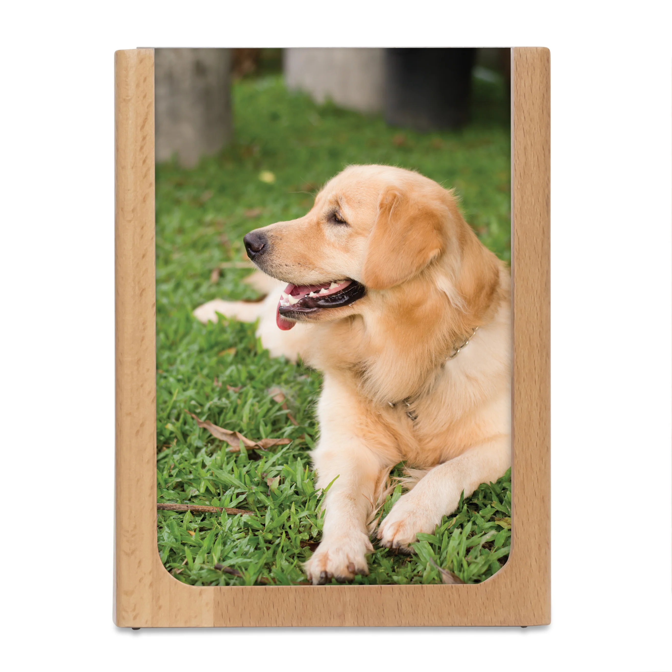Large Picture Frame Pen Holder - Image 2