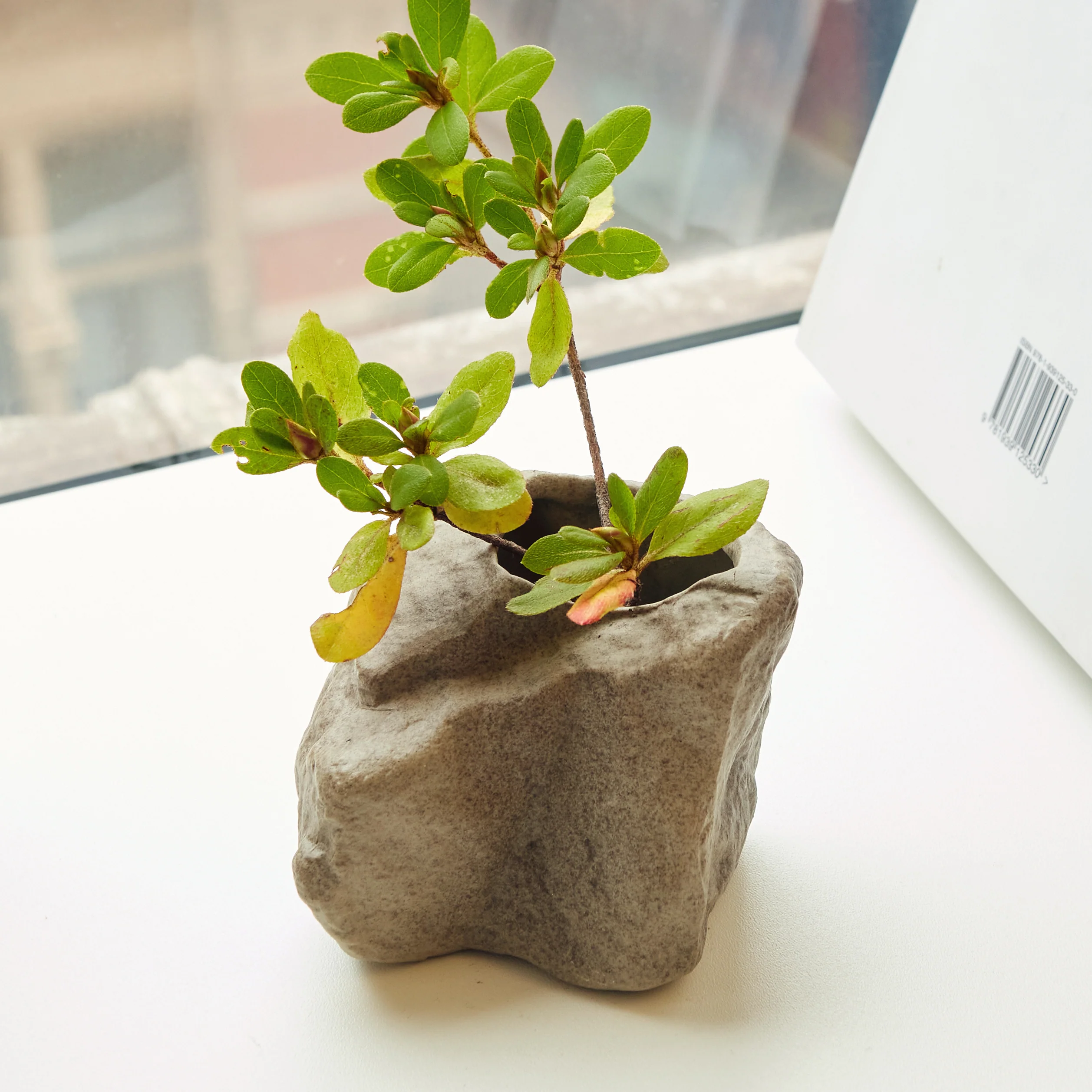 Short Rock Vase - Image 2